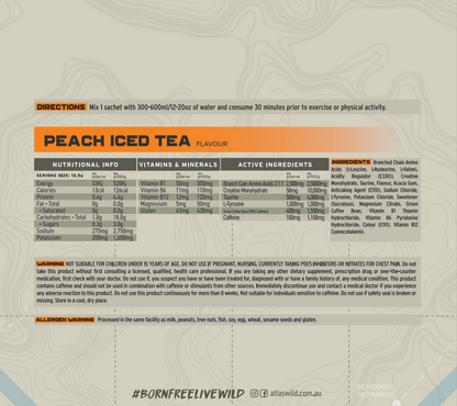 Fusion Endurance - Peach Iced Tea